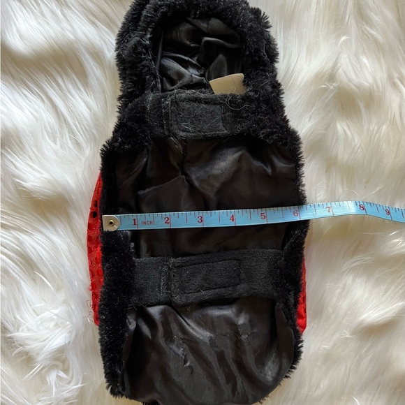 Pet ladybug costume Size Small - Picture 6 of 7